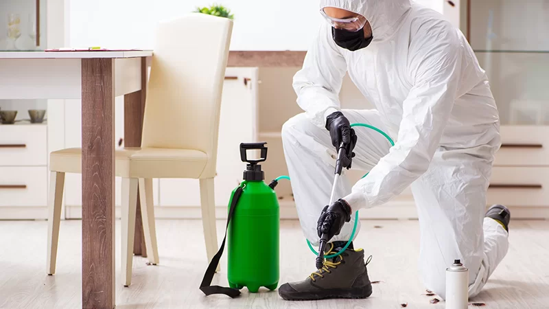 Çerkezköy Böcek İlaçlama