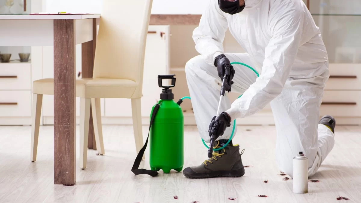 Kırkayak İlaçlama