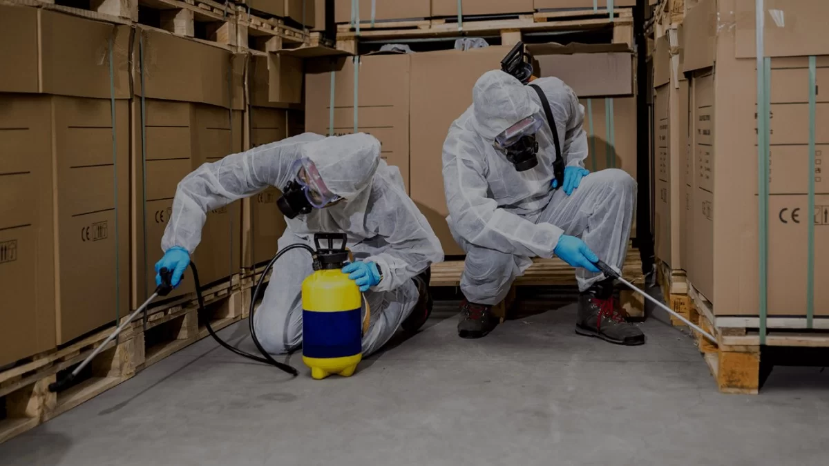 Örümcek İlaçlama