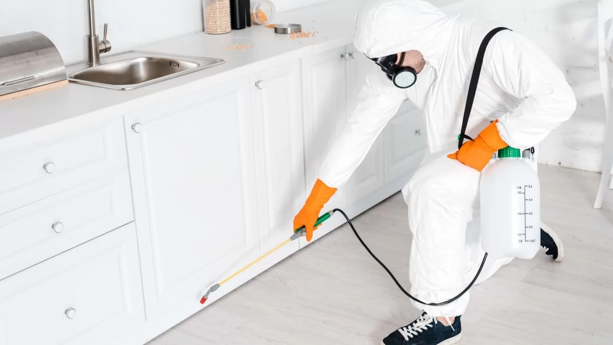 Tespih Böceği İlaçlama