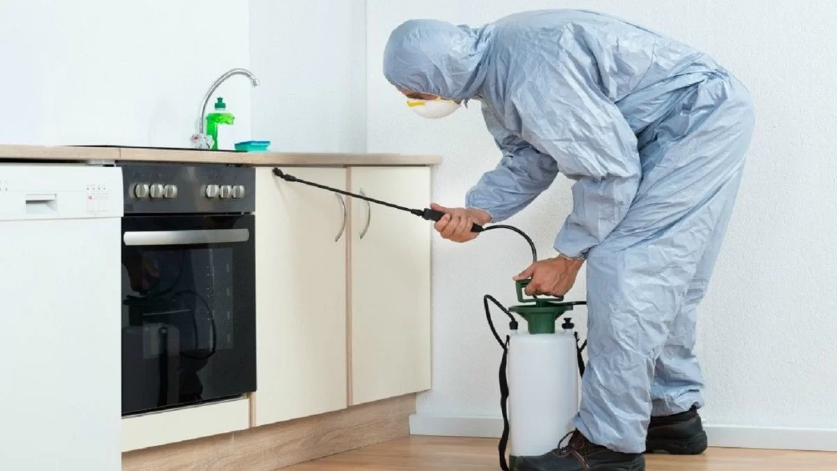 Tütün Böceği İlaçlama