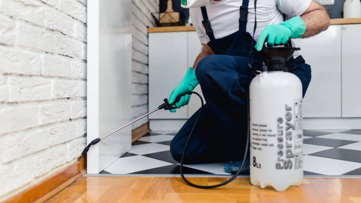 Uyuz Böceği İlaçlama