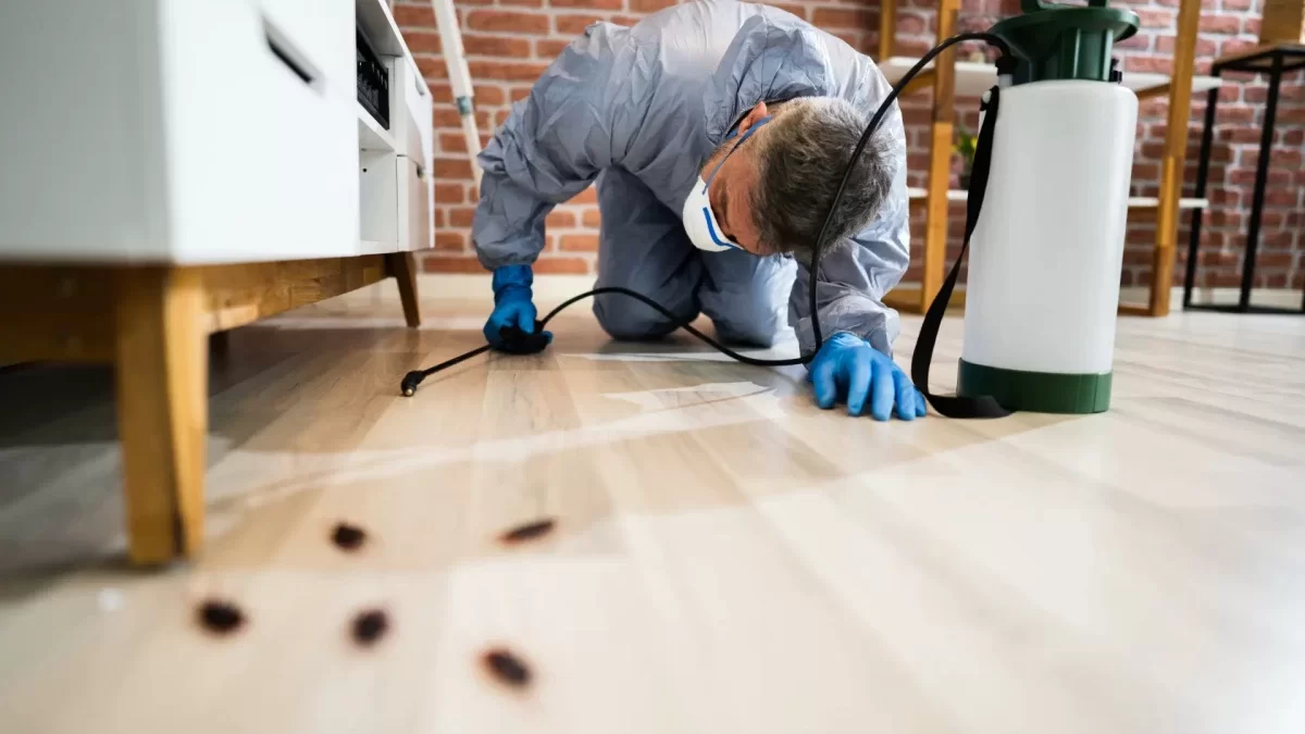 Hamam Böceği İlaçlama