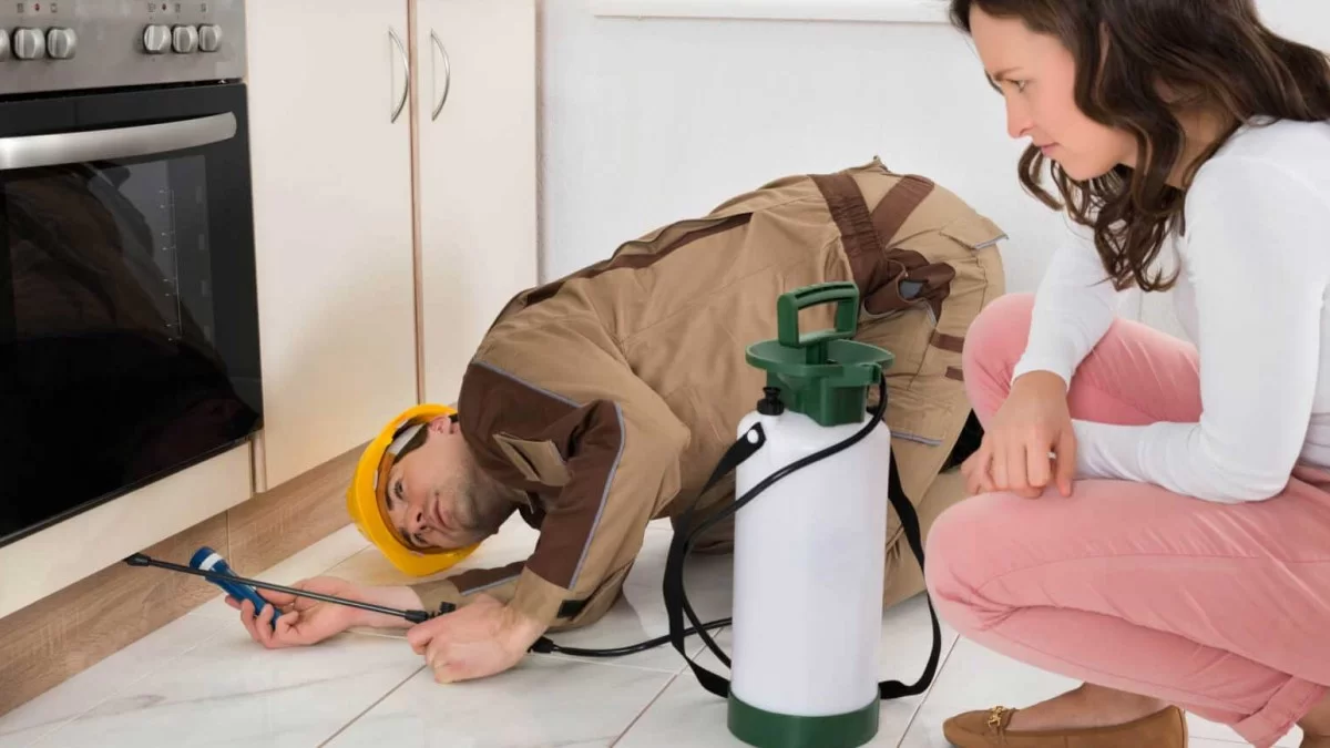 Karafatma İlaçlama