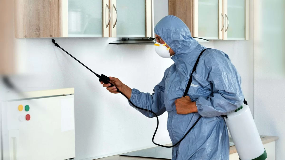 Örümcek İlaçlama