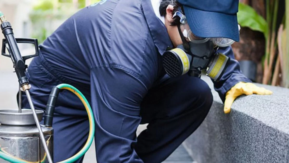 Tütün Böceği İlaçlama