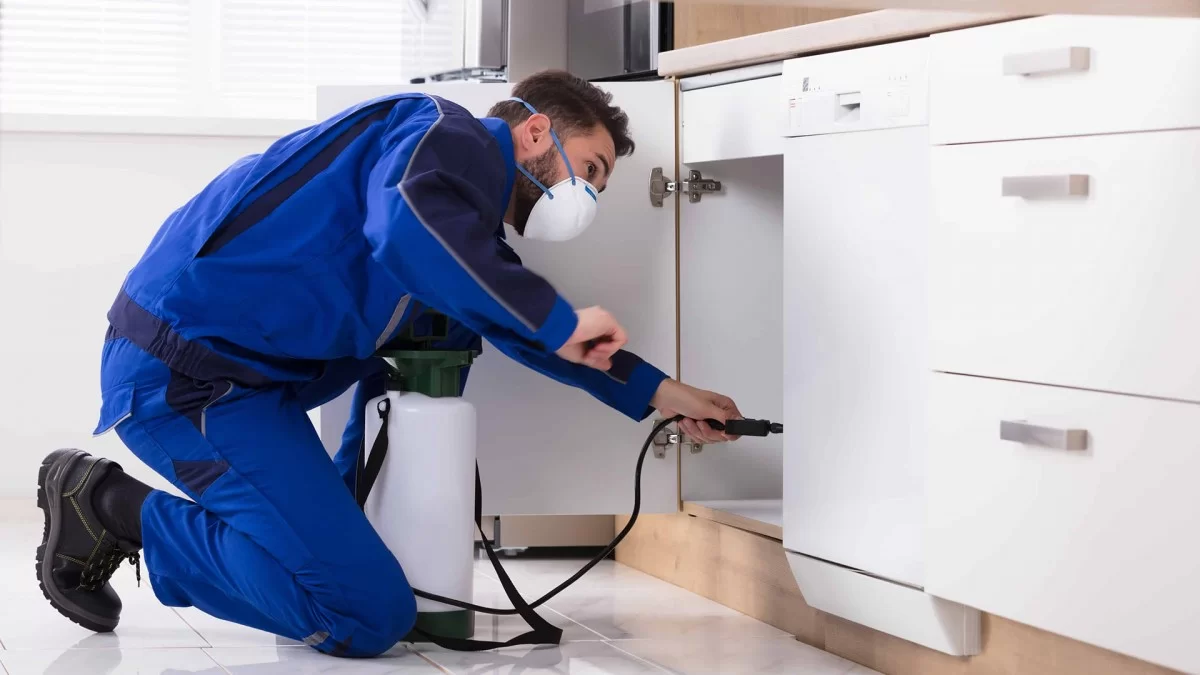 Uyuz Böceği İlaçlama